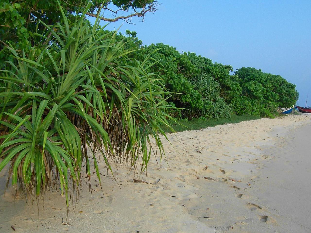 Mendis Cottage Weligama Eksteriør bilde